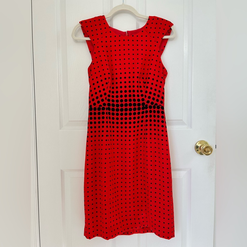 J. Crew Dress